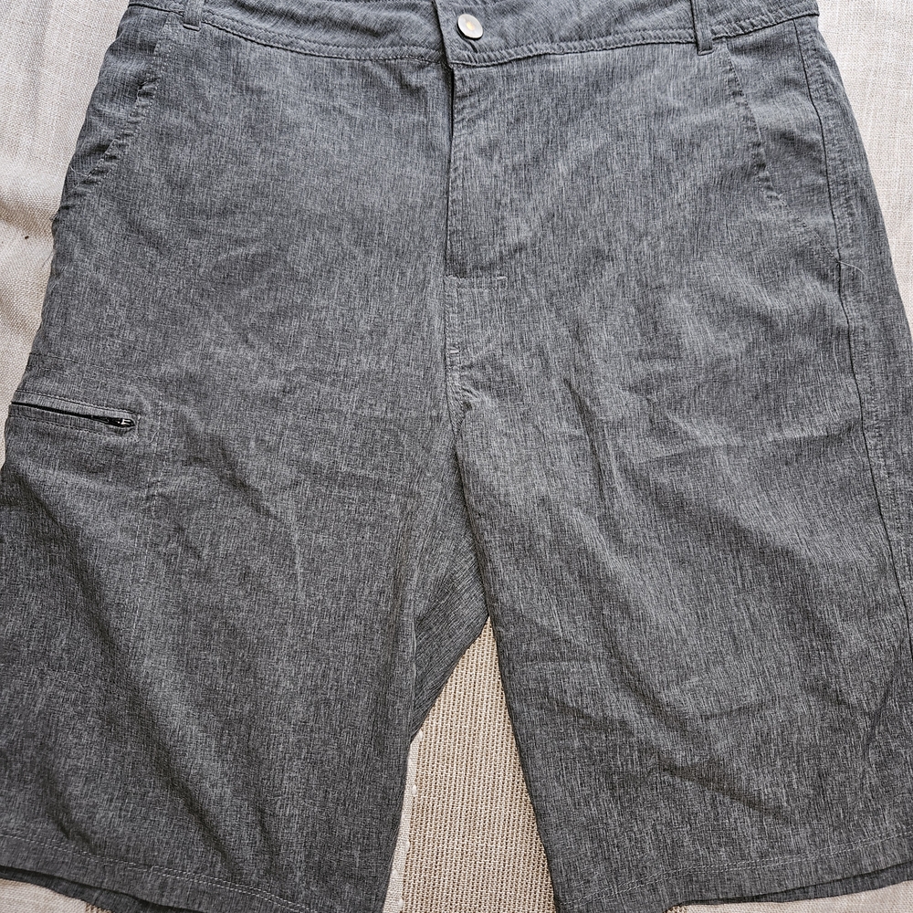 Abbot Main Charcoal Flat Front Shorts